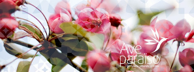 AveParaïso