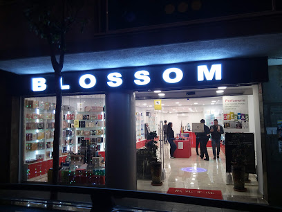 Blossom