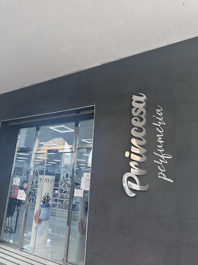 Droguería Princesa S.L.
