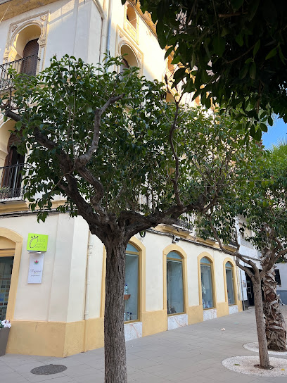 Regina Droguería, Perfumería y Pinturas El Plà 14